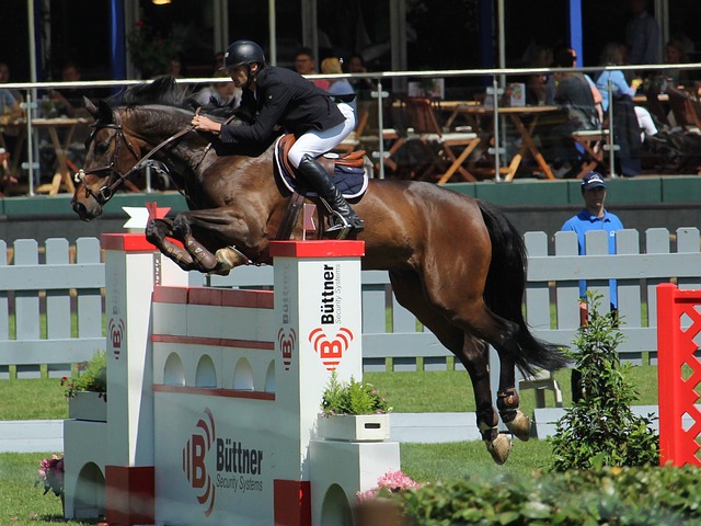 曼联急需品 曼联急需品