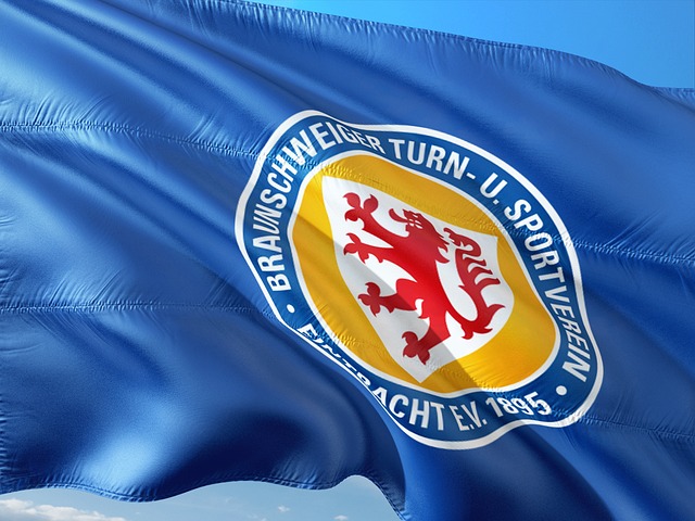 的情节变化 的情节变化