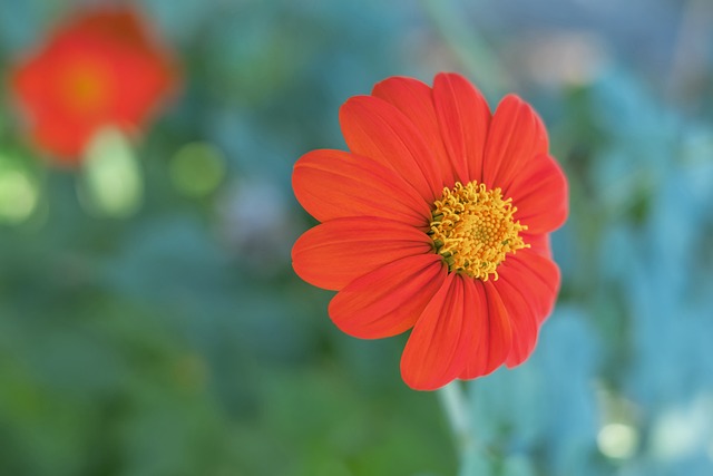 征服越野的 征服越野的