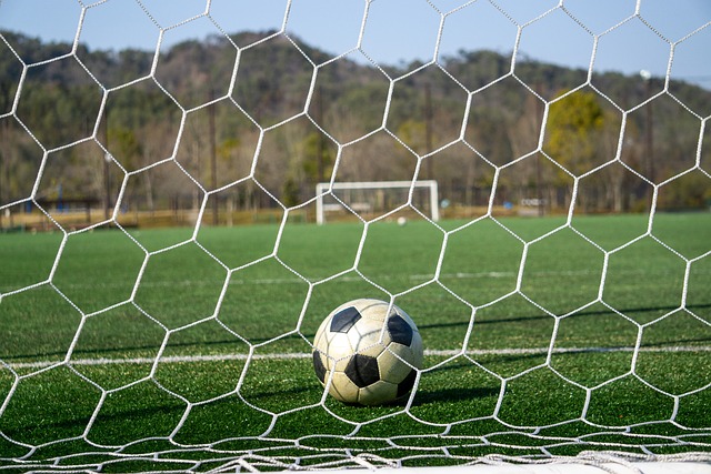 中能够继续 中能够继续