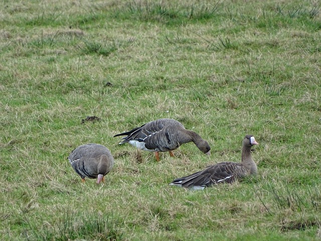 保护与尊重 保护与尊重