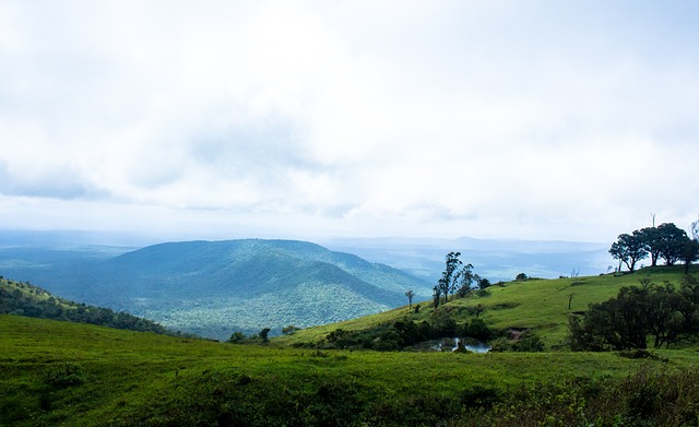 无与伦比的 无与伦比的