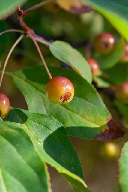 次全会会前 次全会会前