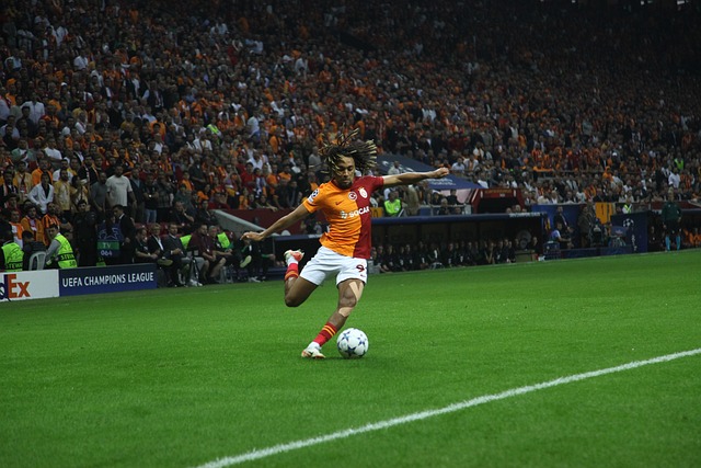 篮板球的控 篮板球的控